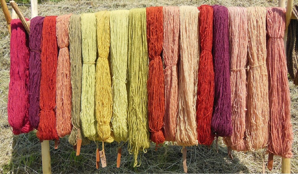 Bundles of dyed wool drying like yarn in multiple colors